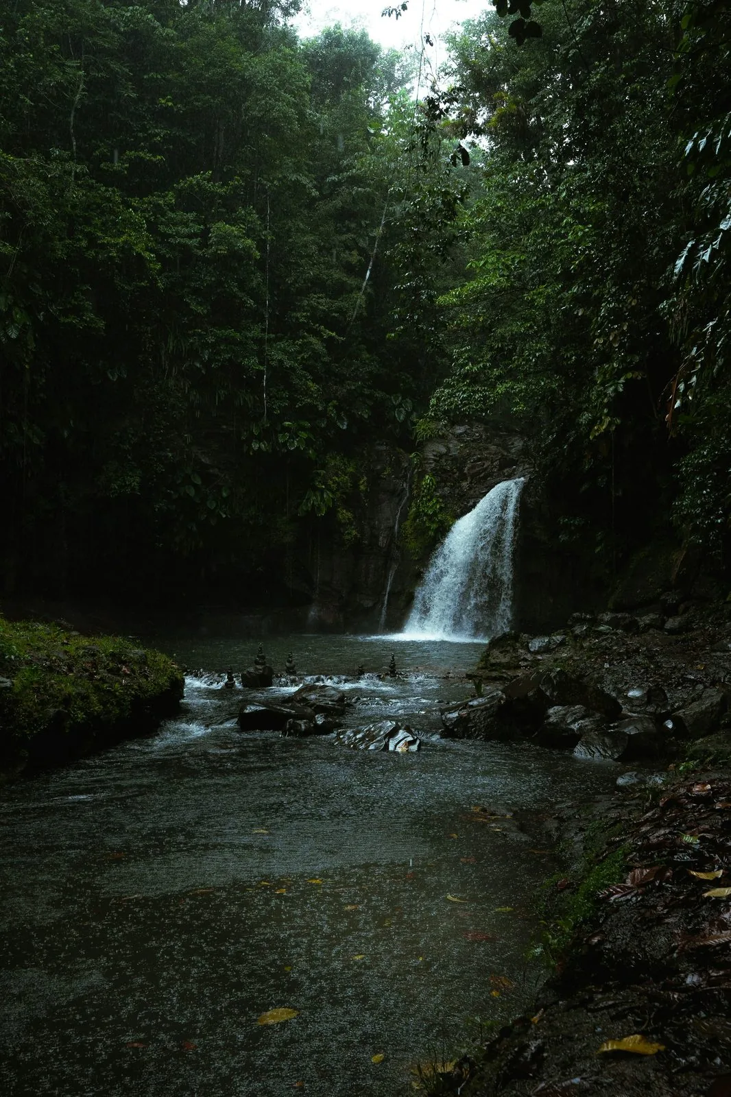 Cascade dans la forêt tropicale de Basse-Terre