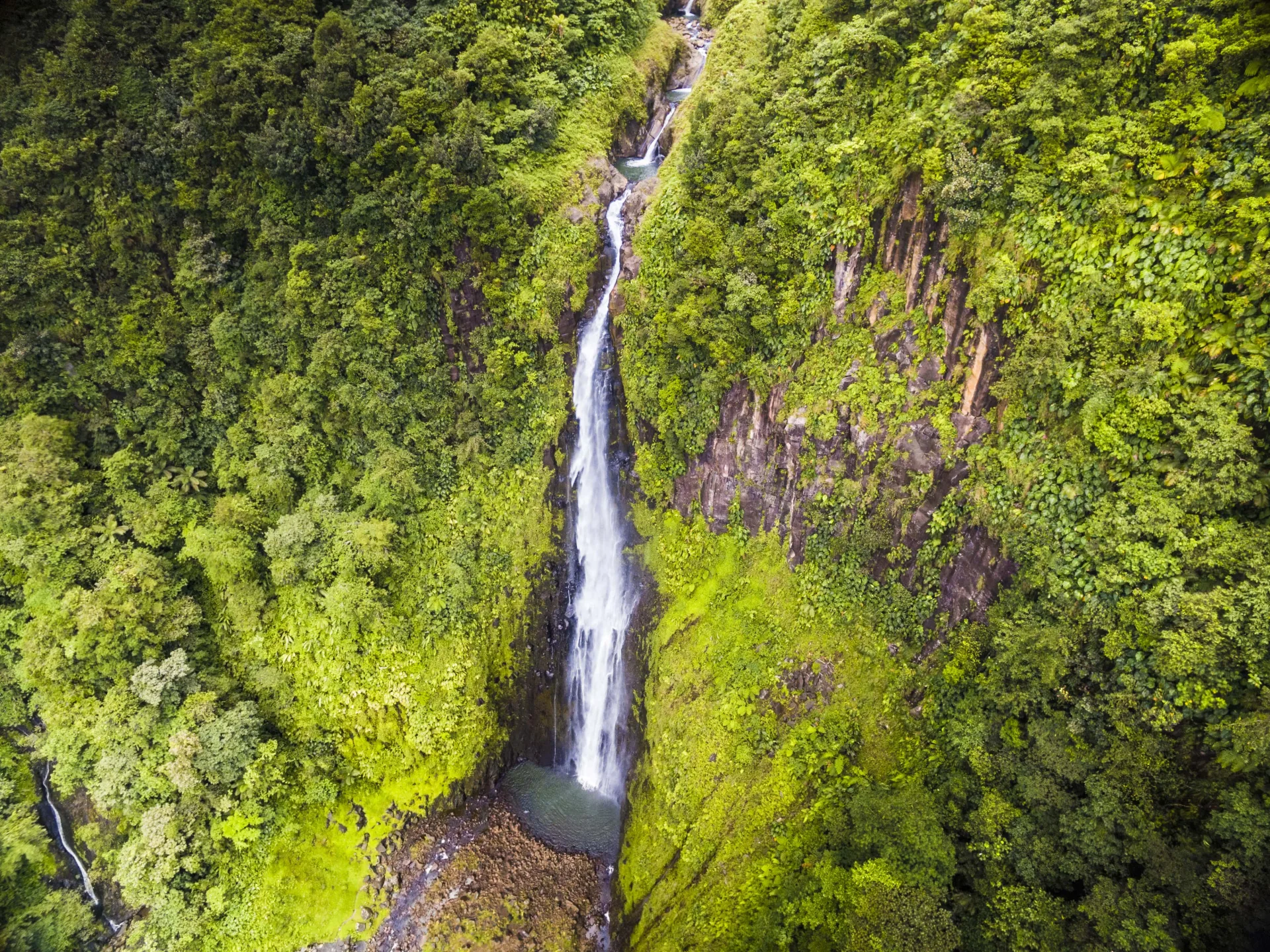 Première chute du Carbet plongeant dans la forêt tropicale de Basse-Terre, Guadeloupe — photo Aurélien Brusini