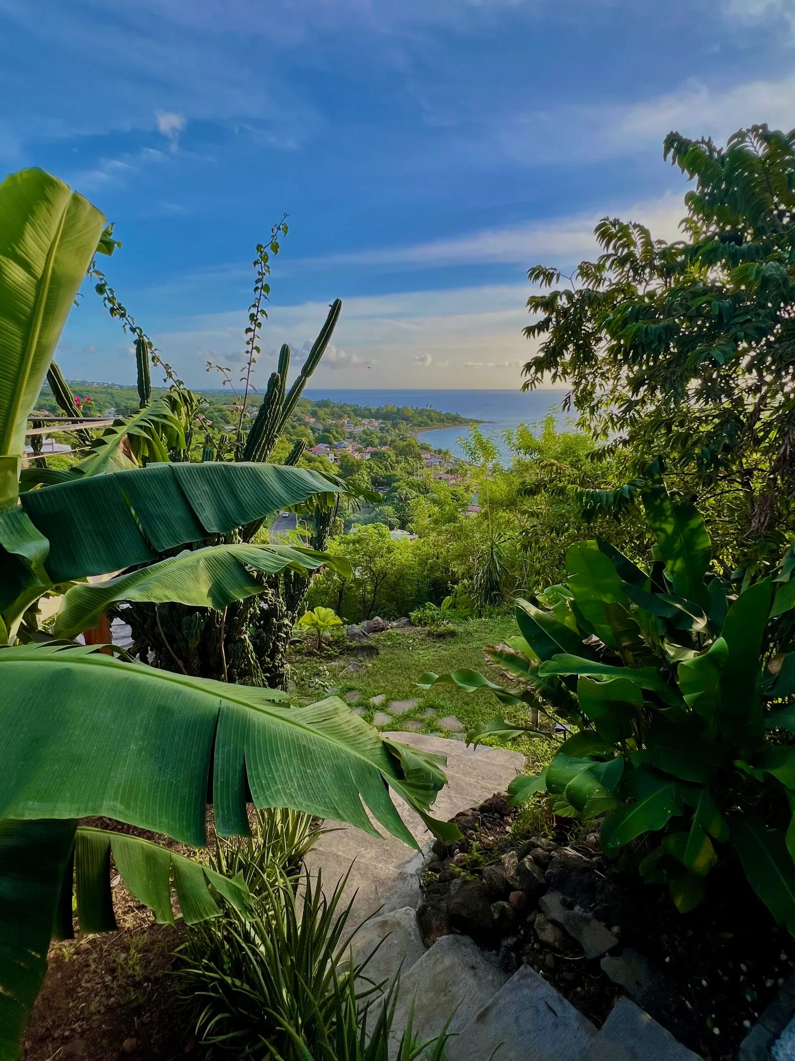 Jardin tropical luxuriant avec palmiers, bananiers et vue sur la mer des Caraïbes