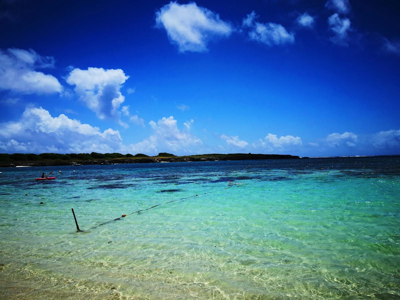 Eaux turquoise limpides de la côte caraïbéenne de Basse-Terre