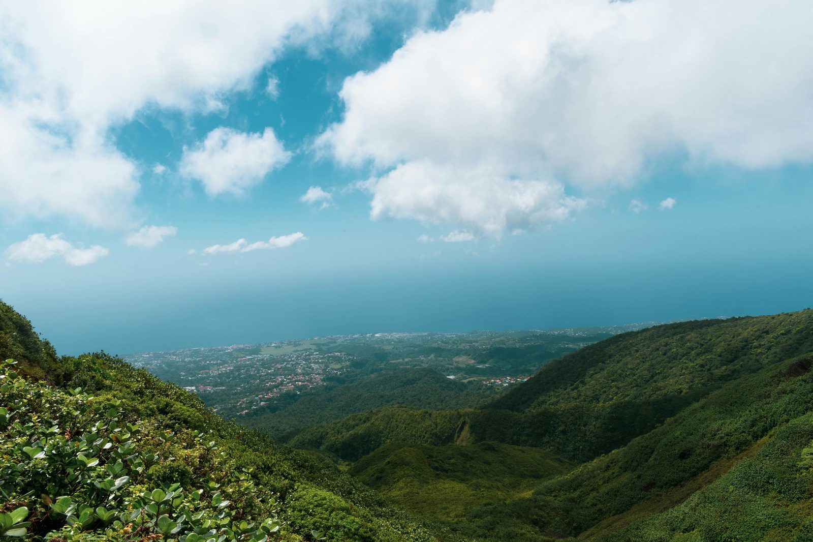 Paysage des hauteurs de la Basse-Terre, forêt tropicale et montagnes de Guadeloupe