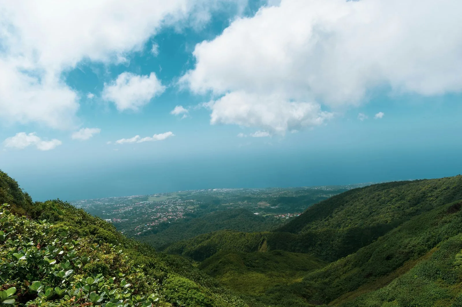 Paysage des hauteurs de la Basse-Terre, forêt tropicale et montagnes de Guadeloupe